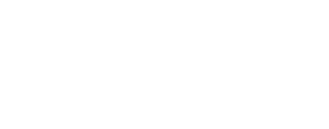 A17 Logo